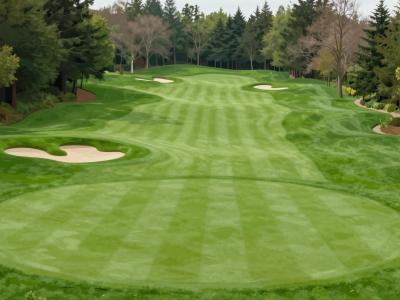 AI-generated illustration of Championship Golf Course