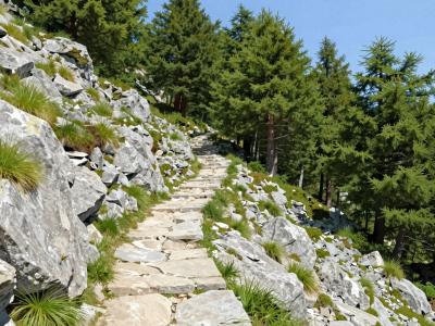 AI-generated illustration of Hiking Paths