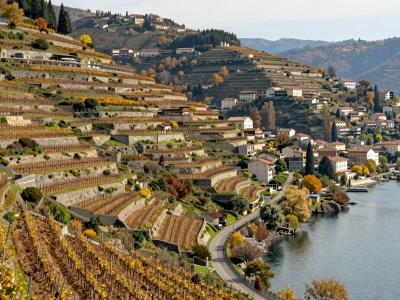 AI-generated illustration of Vineyards Of Montreux