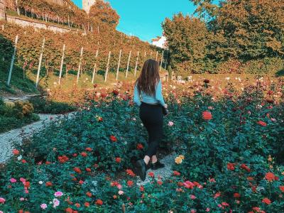 A woman walks through a colorful flower garden in Rapperswil-Jona, Switzerland, surrounded by vibrant blooms and scenic views.