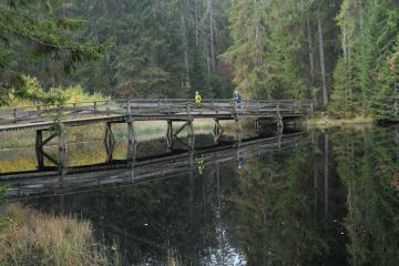 Saignelégier