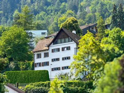 Budget-Friendly Swiss Train Journeys