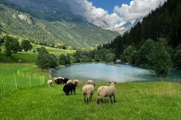 Mountains in Chur