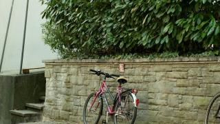 Urban Exploration