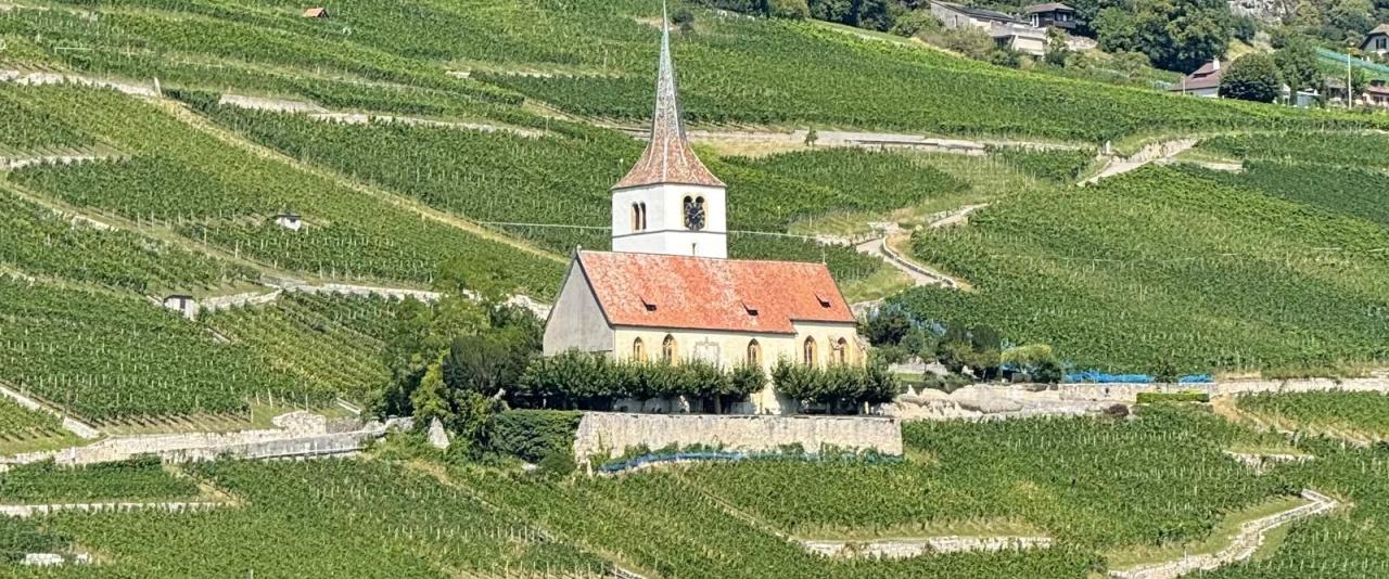 Picturesque Swiss vineyard landscape with a hillside church and village by the water.
