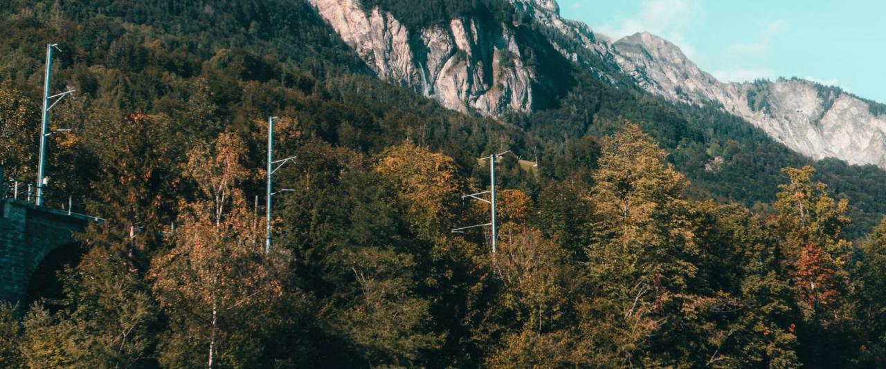 Camping in a van amidst stunning Swiss mountains with clear blue sky and lush greenery.