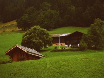 Swiss Fondue