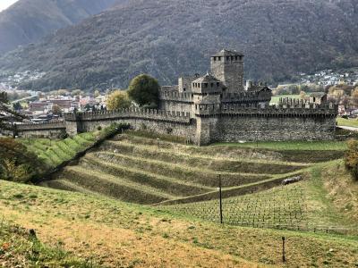 A medieval stone castle with crenellated walls and a central tower, situated on a hillside overlooking a town and valley, with terraced vineyards in the foreground.