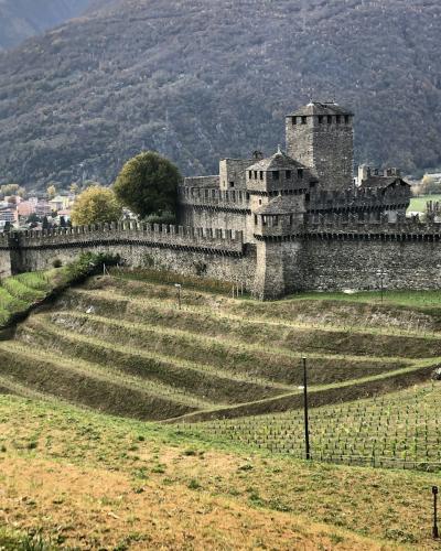 A medieval stone castle with crenellated walls and a central tower, situated on a hillside overlooking a town and valley, with terraced vineyards in the foreground.