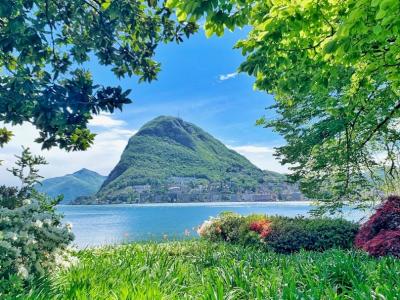 green tree near lake and mountain under blue sky during daytime