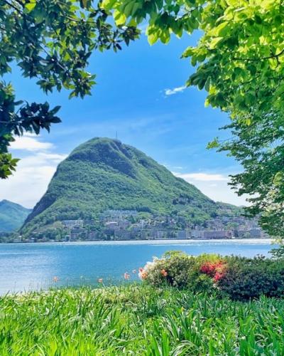 green tree near lake and mountain under blue sky during daytime