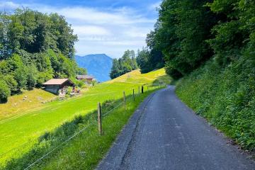 Cycling Routes in Riehen