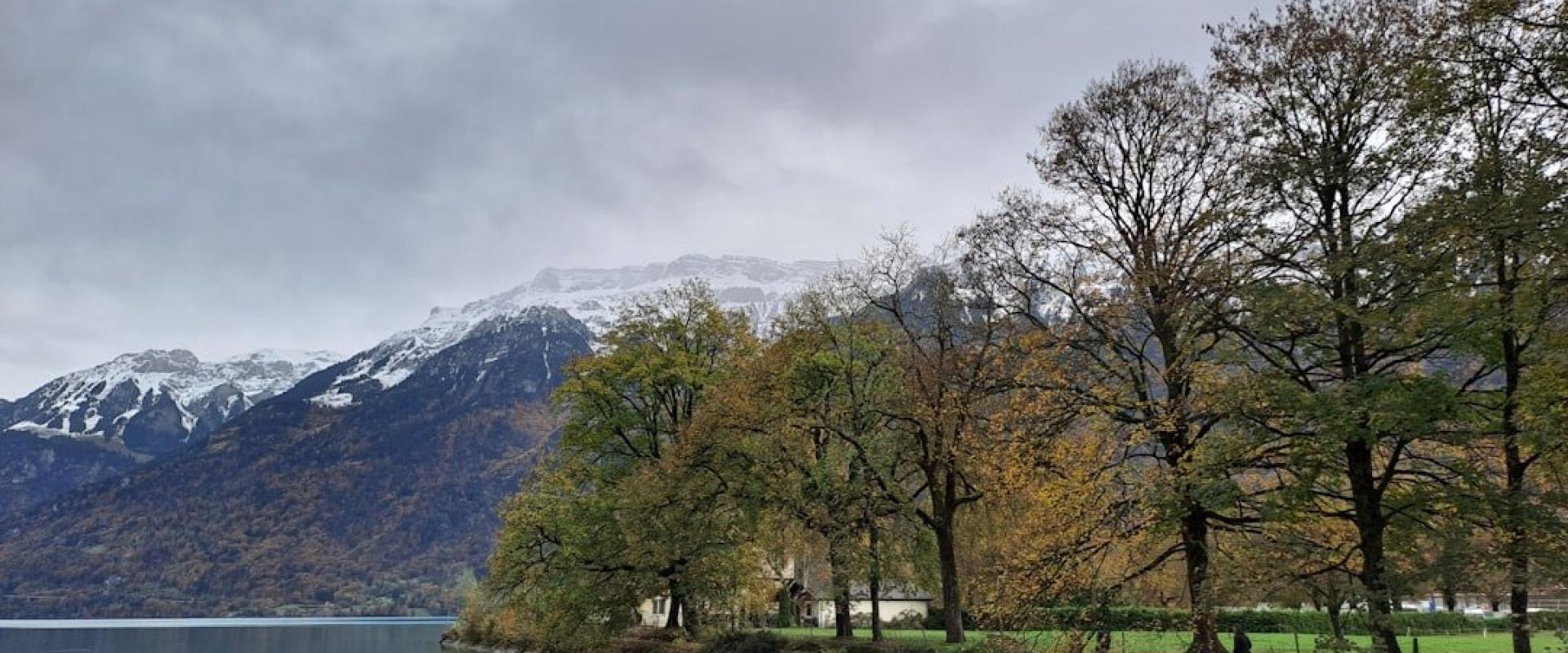Jungfrau’s Autumn Golden Larch Hikes