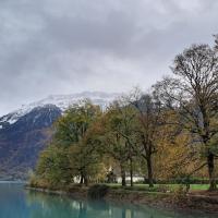 a body of water surrounded by trees and mountains