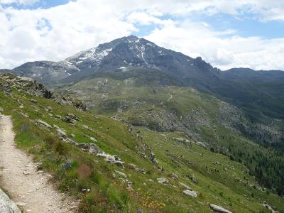 A dirt hiking trail winds up a grassy alpine slope in the foreground, leading towards a large, rocky mountain peak with patches of snow in the background under a cloudy sky.