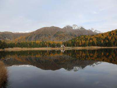 Lej da Staz lake in the Stazerwald forest with Piz Muragl