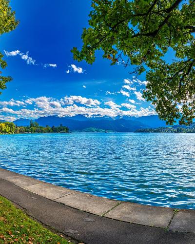 A paved promenade curves along the edge of a large, bright blue lake, framed by green trees in the foreground with distant mountains visible across the water under a blue sky.
