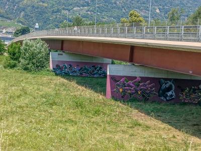 Via al Ticino-Brücke über den Tessin, Giubiasco TI – Sementina TI 20250620-jag9889