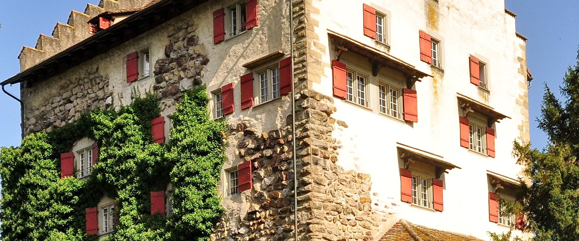 Stepped-gable Greifensee Castle with ivy-covered walls