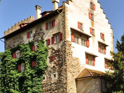 Stepped-gable Greifensee Castle with ivy-covered walls