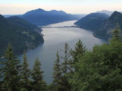 Lake Lugano framed by forest, seen from the slopes of Monte Brè