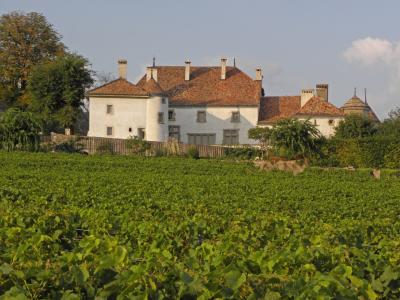 A large, white-walled château with a terracotta tiled roof and multiple chimneys, situated behind a wooden fence and overlooking a vast green vineyard under a blue sky.