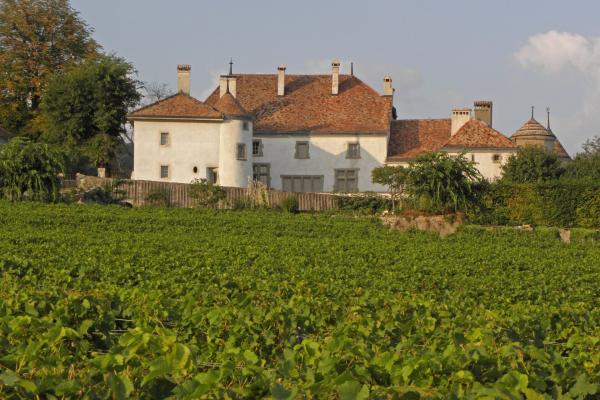 Institut Le Rosey