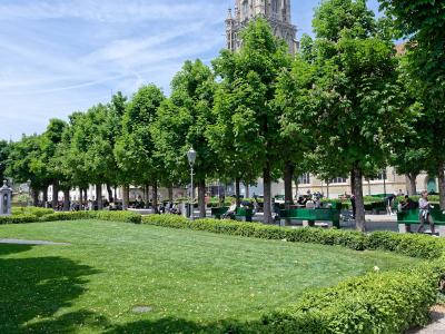 A grassy park area with a row of green benches under trees, with the stone tower of a large Gothic cathedral visible in the background.