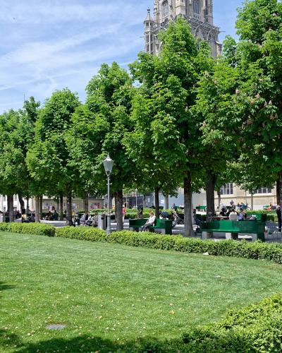 A grassy park area with a row of green benches under trees, with the stone tower of a large Gothic cathedral visible in the background.