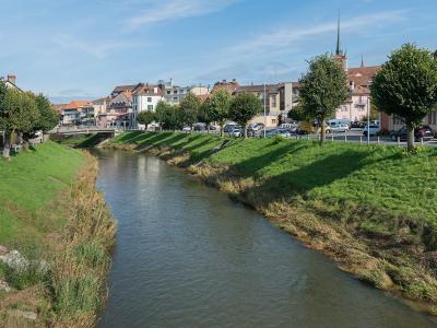 A river flows through a town with grassy embankments, lined with trees and buildings, including a church with a spire and a tower in the background.