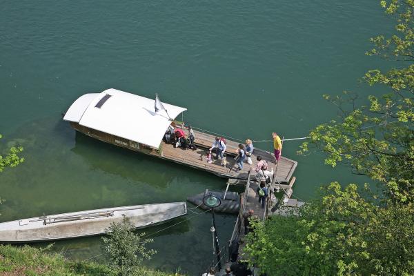 Rhine Ferries and Rhine Swimming