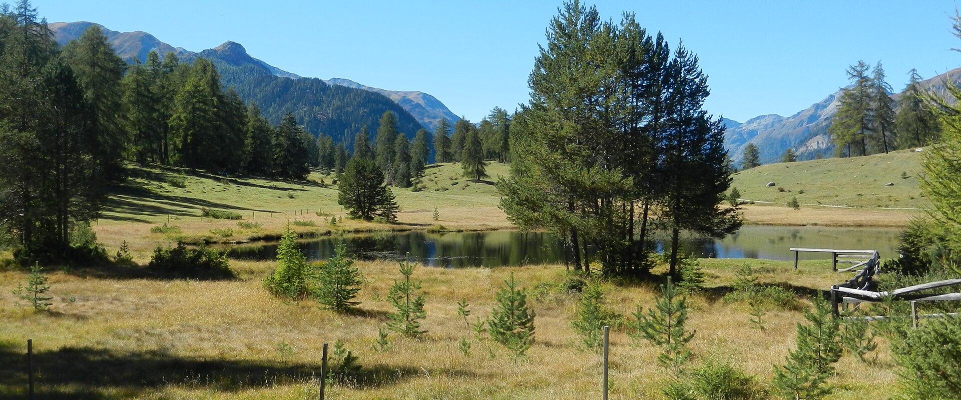 A landscape photograph showing a small alpine lake surrounded by grassy meadows, scattered coniferous trees, and distant mountains under a clear blue sky.