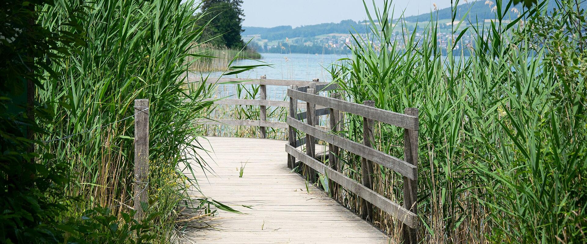 Lakeside Castles Of Aargau