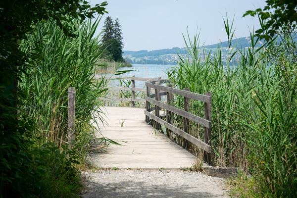 Lakeside Castles Of Aargau