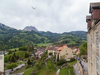A view from a stone castle wall looking down over the rooftops of a historic town, with green hills and mountains in the background and a glider in the sky.