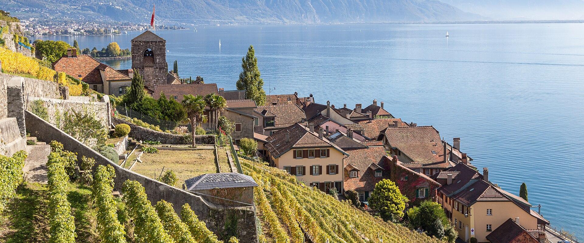A scenic view of a lakeside village with terraced vineyards in the foreground, a stone church tower, and a large lake with mountains in the background.