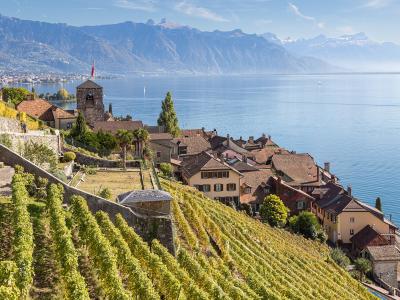 A scenic view of a lakeside village with terraced vineyards in the foreground, a stone church tower, and a large lake with mountains in the background.