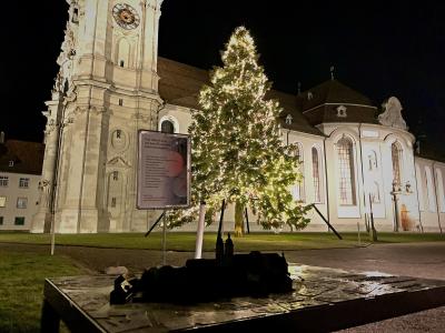 A night view of a large white Baroque church with a prominent clock tower, featuring a lit Christmas tree and a sign in the foreground.