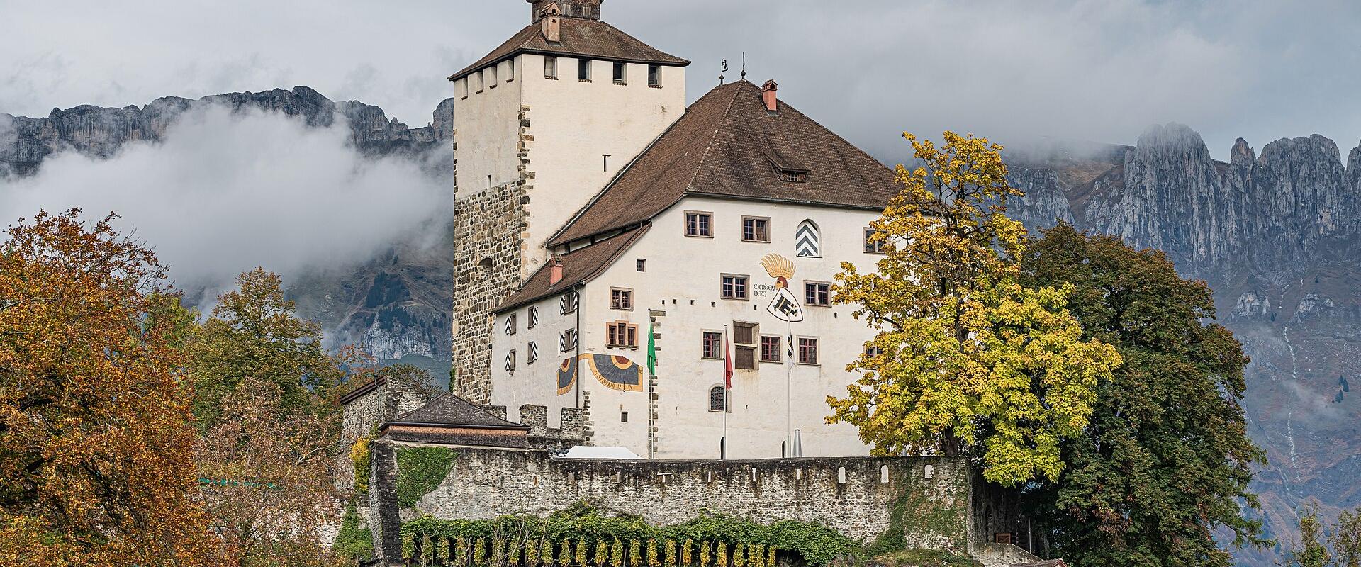 Werdenberg Castle rising above its vineyard and the old town