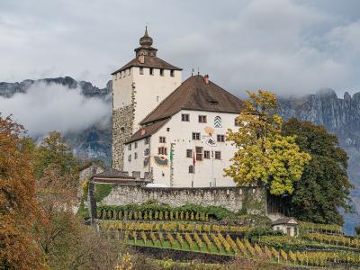 Werdenberg Castle rising above its vineyard and the old town