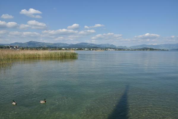 Wooden Bridge From Rapperswil To Hurden