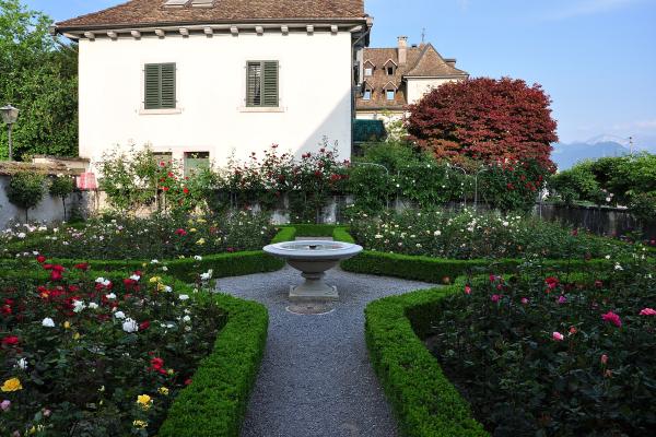 Rose Gardens In Rapperswil