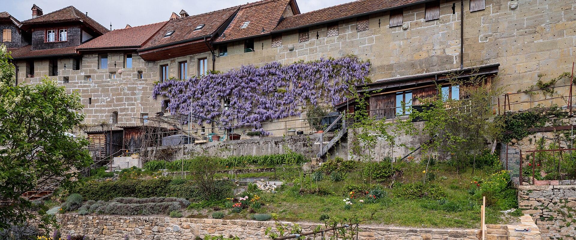 Fortified Walls (Murken)