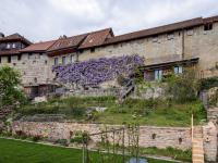Fortified Walls (Murken)
