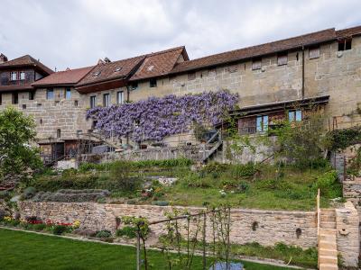 A view of a large, light-colored stone fortification wall with residential buildings constructed on top, featuring a prominent wisteria vine and terraced gardens in the foreground.