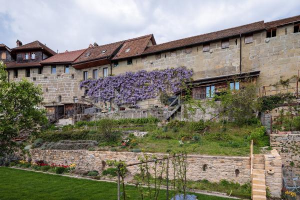 Fortified Walls (Murken)