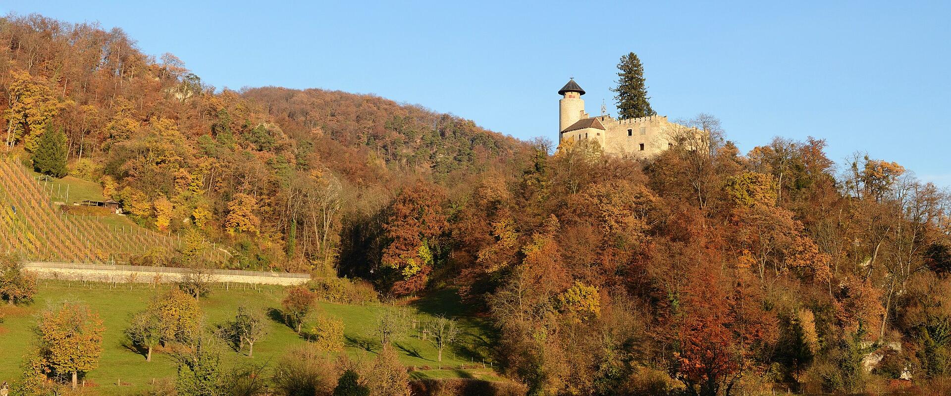 A stone castle ruin with a prominent round tower sits atop a wooded hill, overlooking terraced vineyards and a grassy slope in autumn colors.