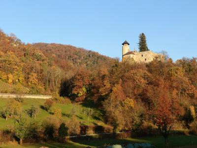 A stone castle ruin with a prominent round tower sits atop a wooded hill, overlooking terraced vineyards and a grassy slope in autumn colors.