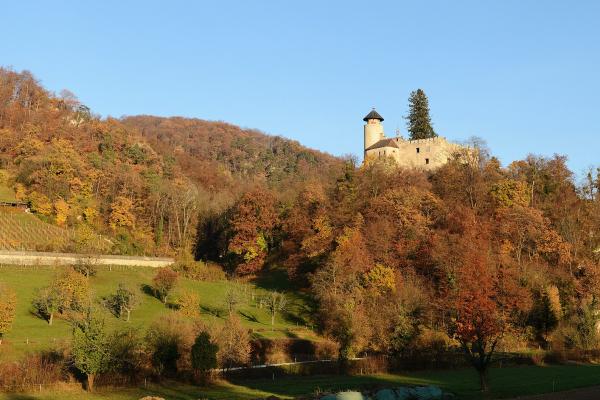 Birseck Castle