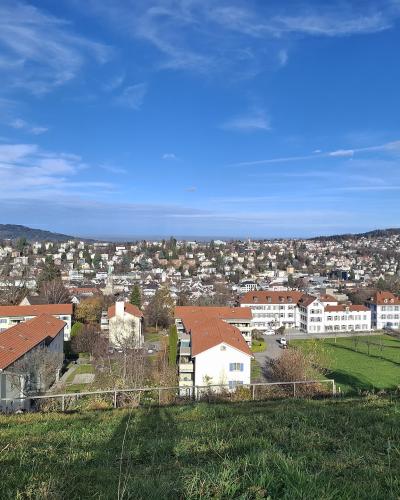 A panoramic view of a densely built town or city with red-roofed buildings, green lawns in the foreground, and distant hills under a blue sky with wispy clouds.
